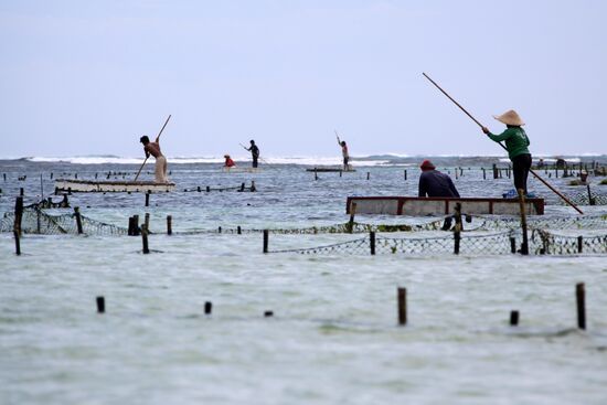 Зарубежные страны. Индонезия. Жизнь населения Бали