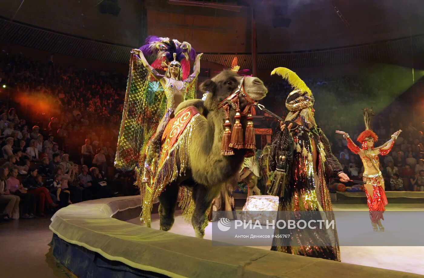 Новая программа Цирка на проспекте Вернадского