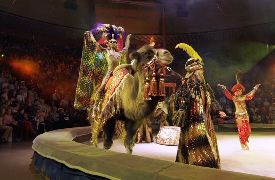 Новая программа Цирка на проспекте Вернадского