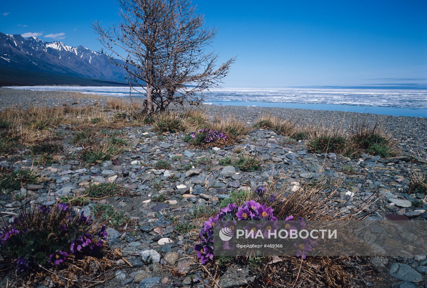 Весна на Байкале