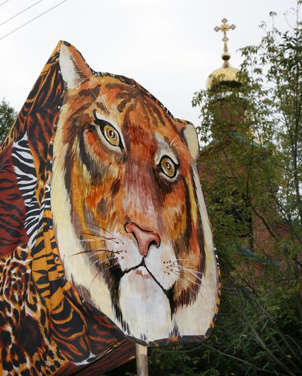 Праздник "День тигра" во Владивостоке