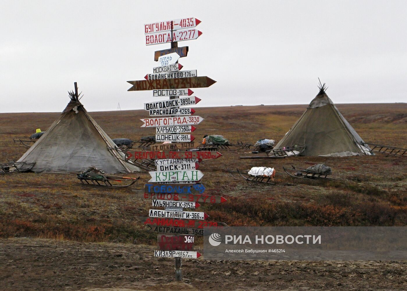 В стойбище ненецких оленеводов на полуострове Ямал