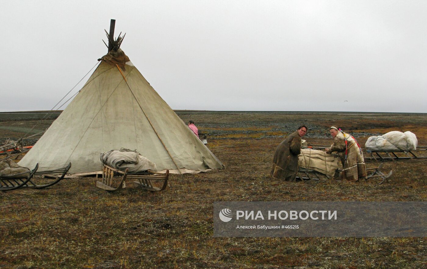 В стойбище ненецких оленеводов на полуострове Ямал