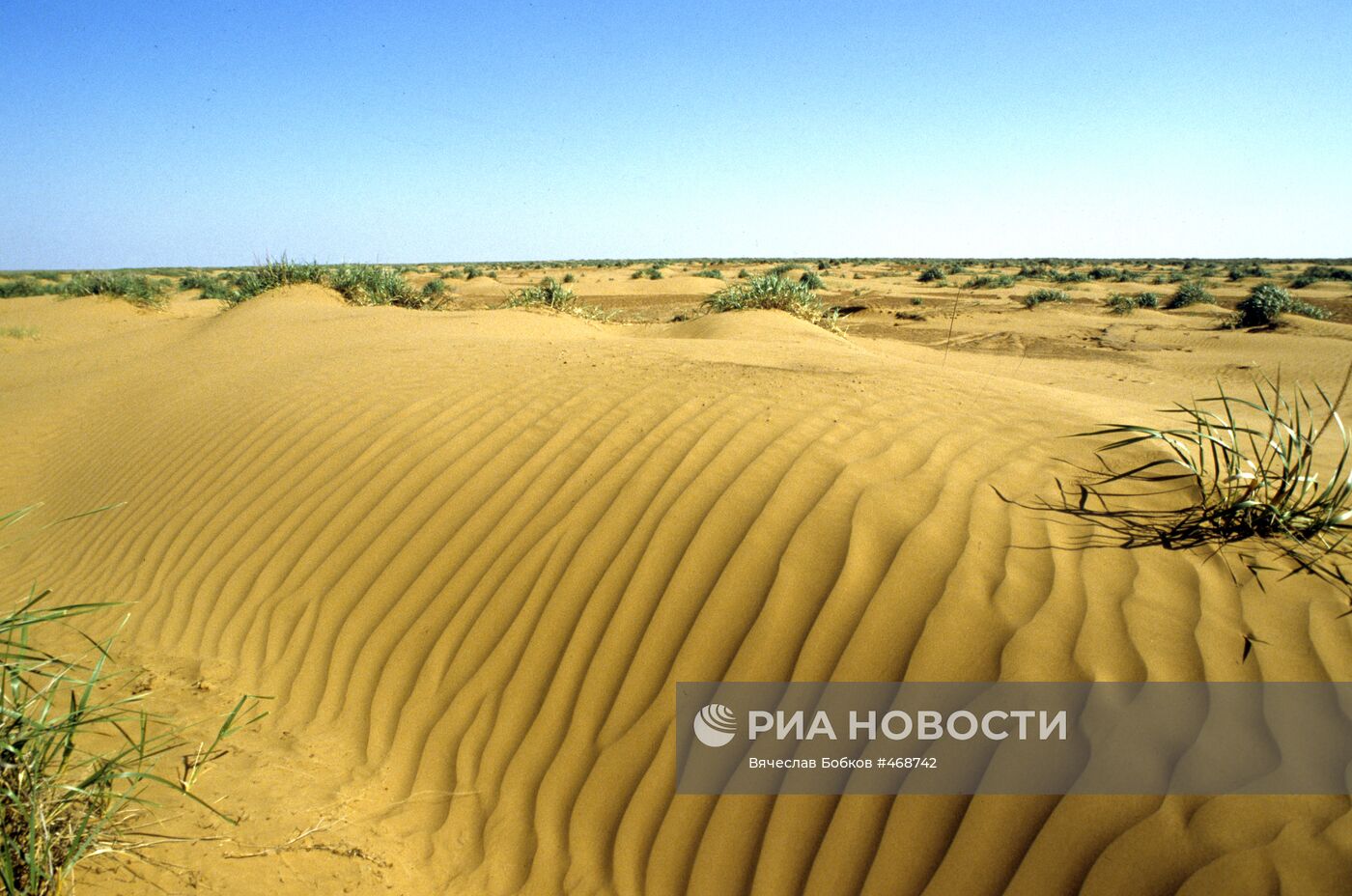 Барханная степь
