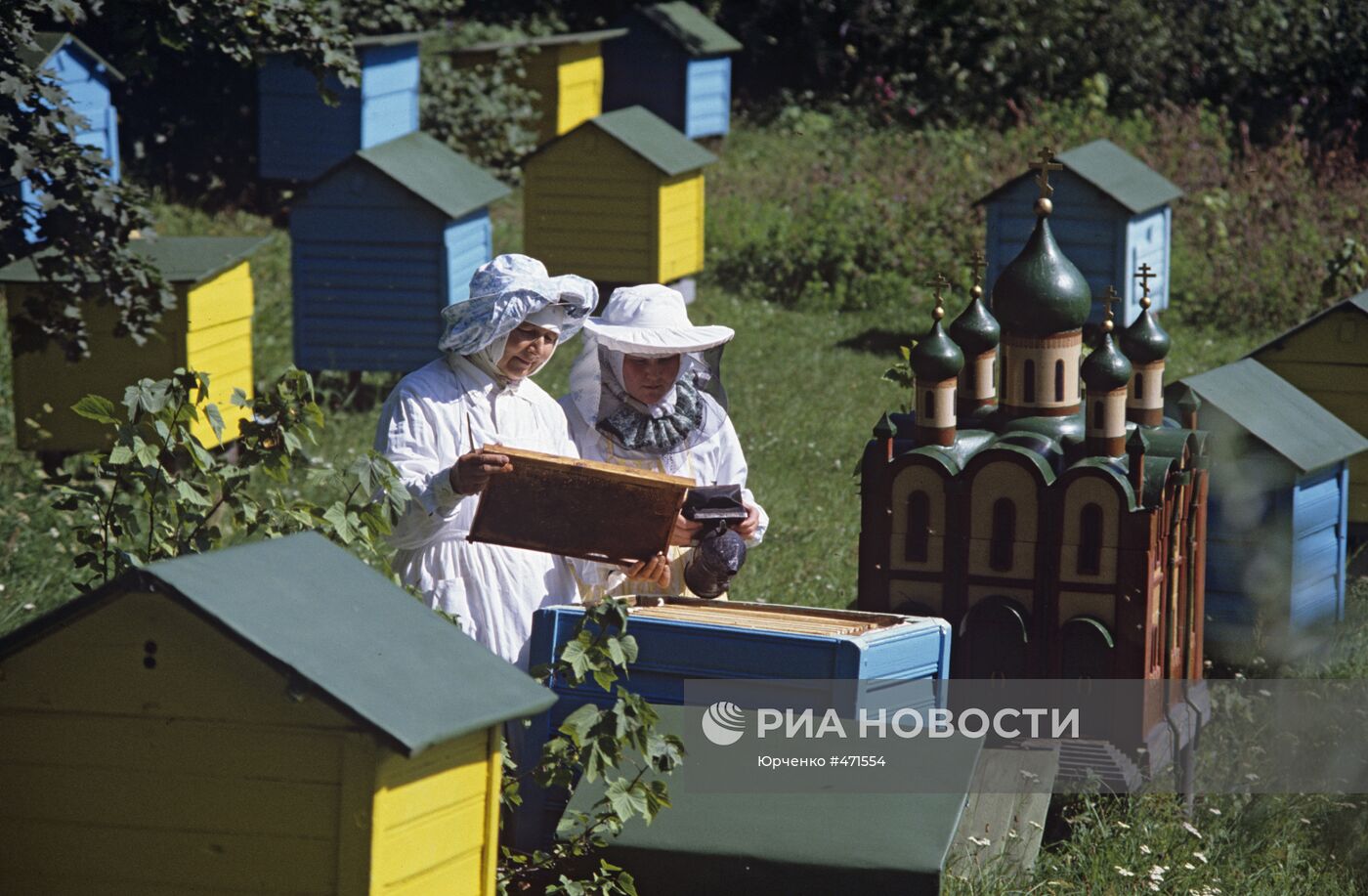 Монастырская пасека