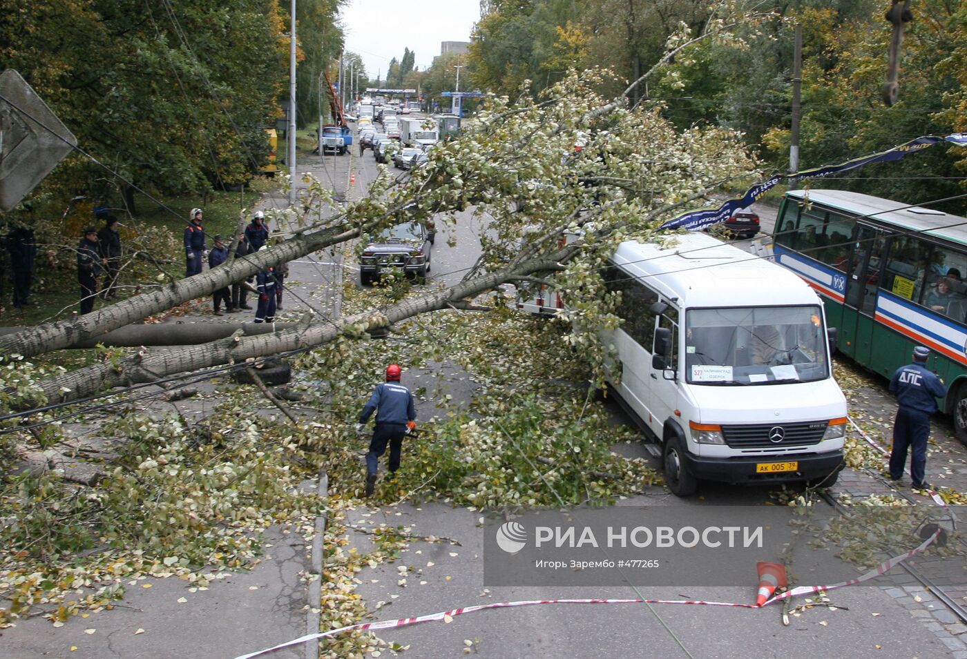 Ликвидация последствий штормового ветра в Калининграде