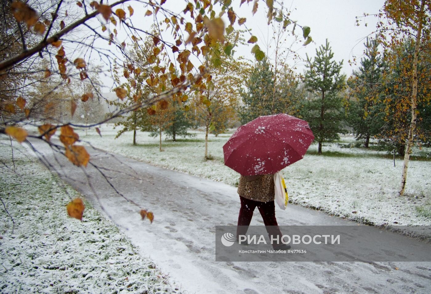 Снегопад в Великом Новгороде