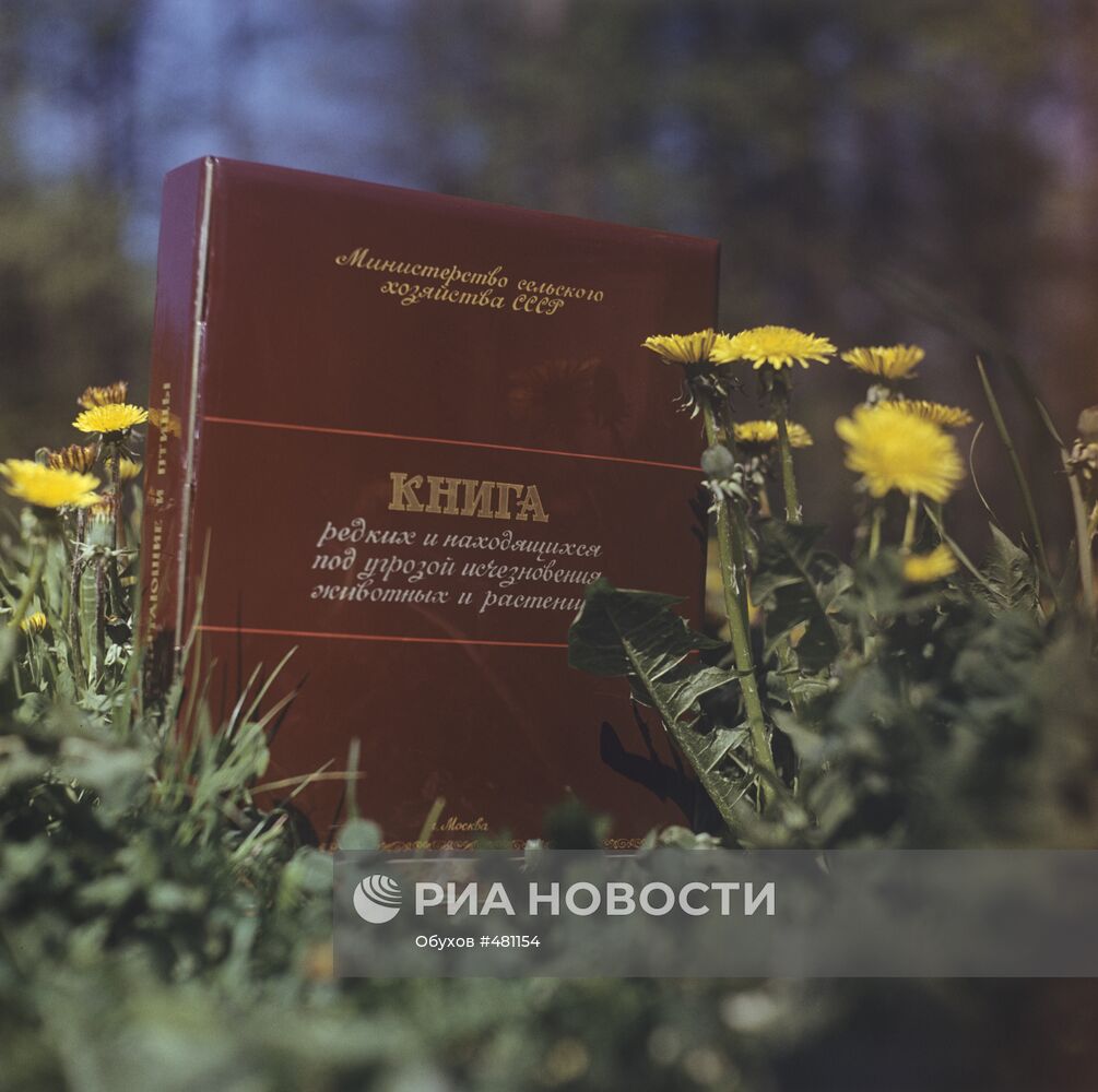 Красная книга