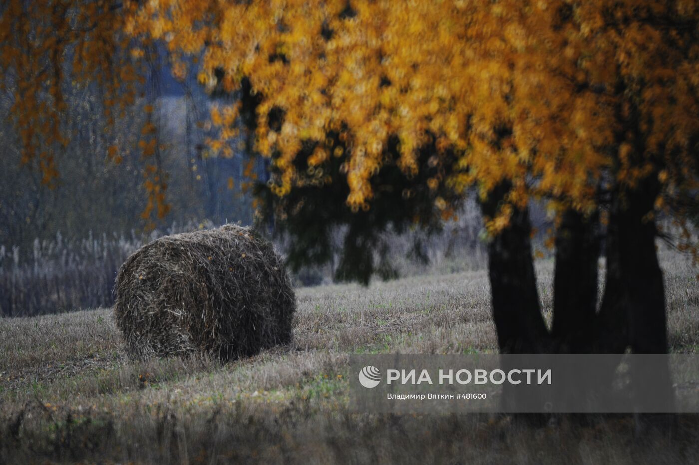 Осень во Владимирской области