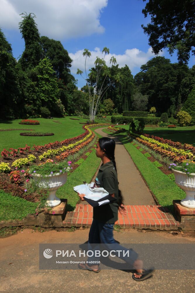 Королевский Ботанический сад в Перадении