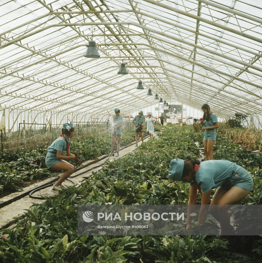 Юные цветоводы в оранжерее