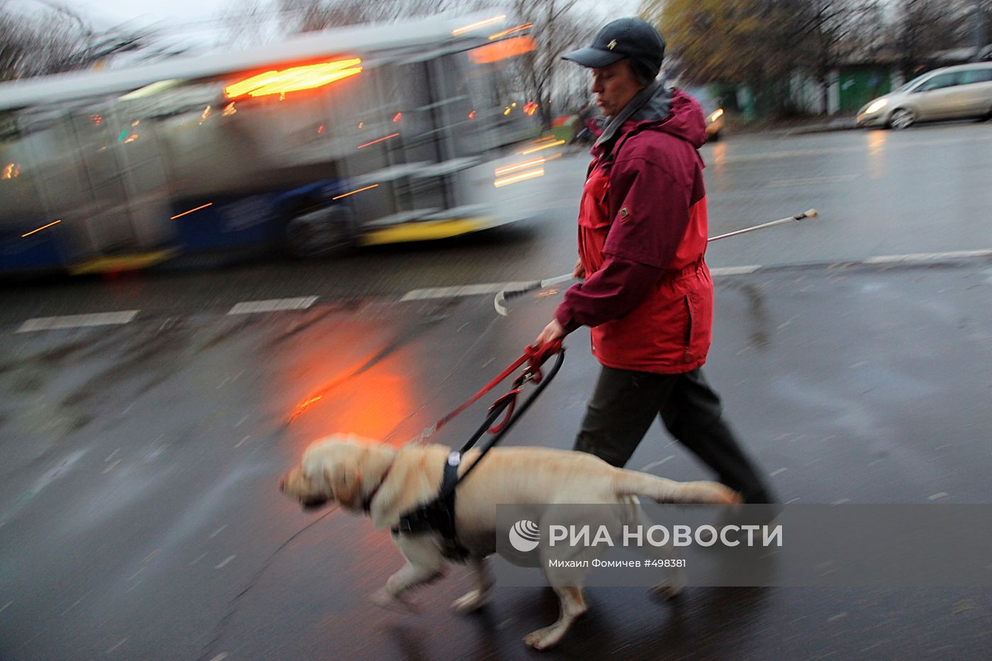 Тренировка собак-поводырей в Москве