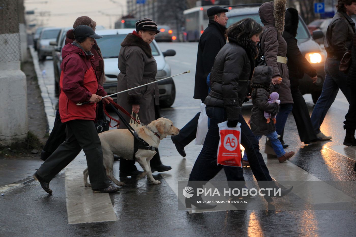 Тренировка собак-поводырей в Москве
