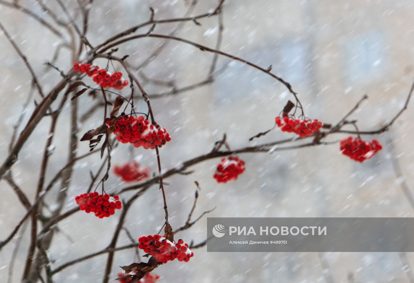 Снегопад в Санкт-Петербурге