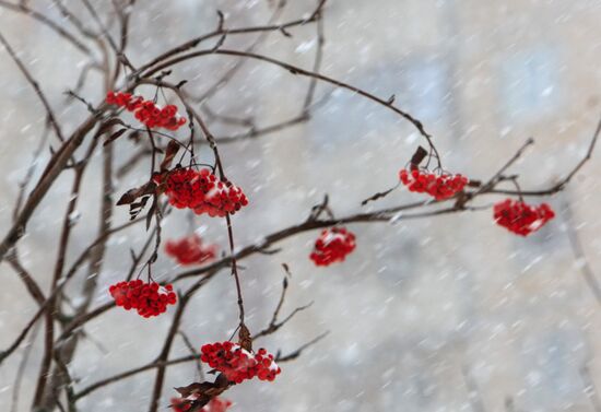 Снегопад в Санкт-Петербурге