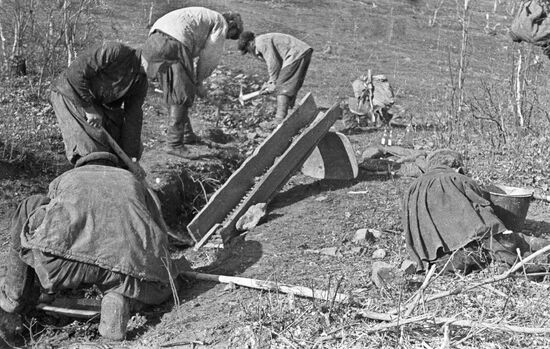 СТАРАТЕЛИ ЗОЛОТО