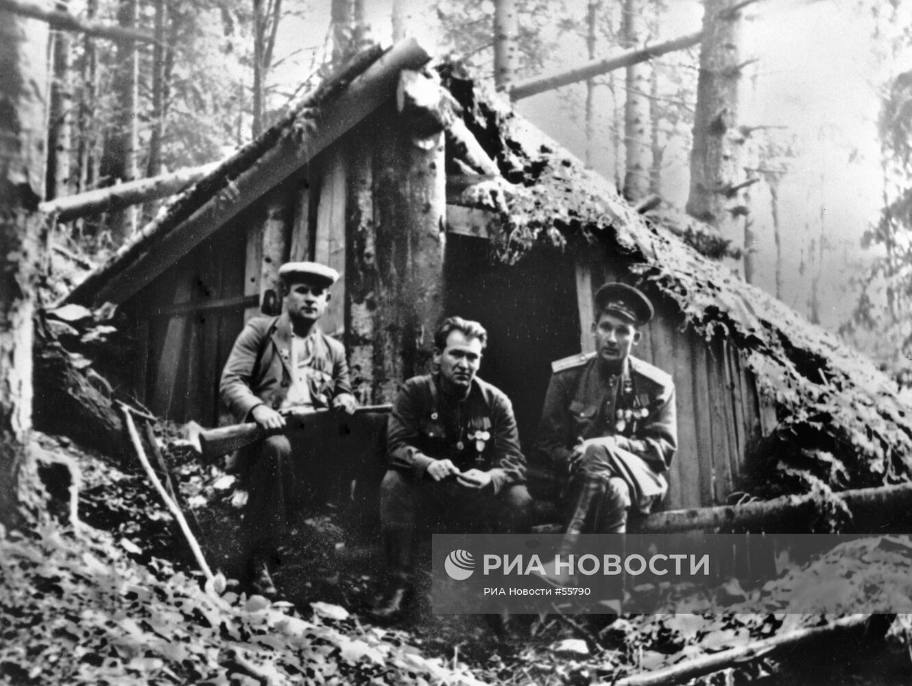 Великая Отечественная война 1941-1945 гг.