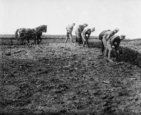 На полевых работах