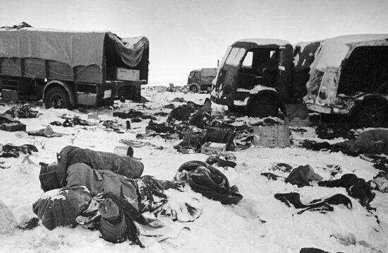 Великая Отечественная война 1941-1945 гг