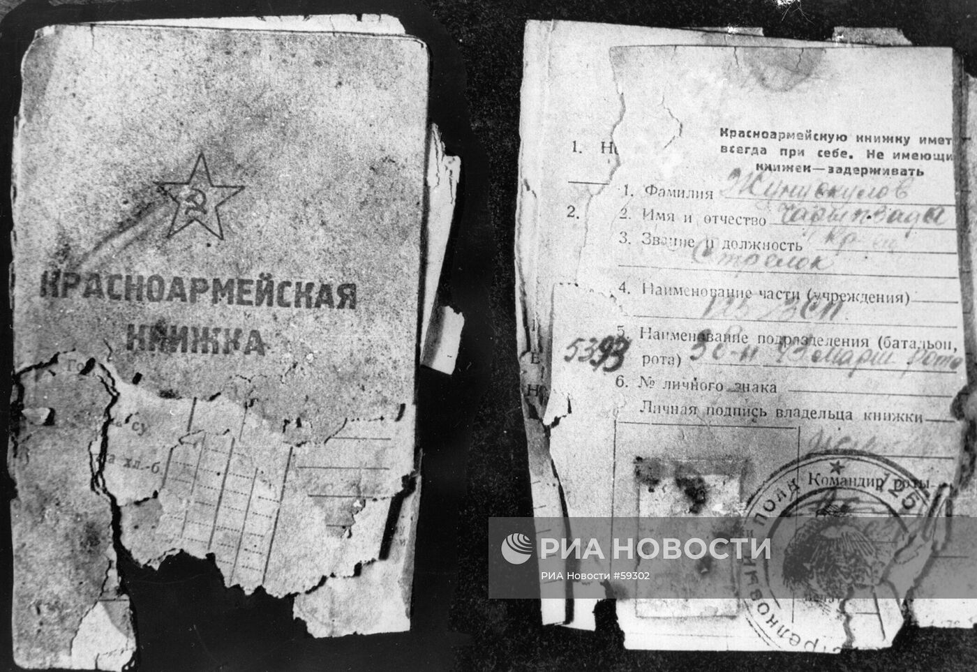 Великая Отечественная война 1941-1945 гг.