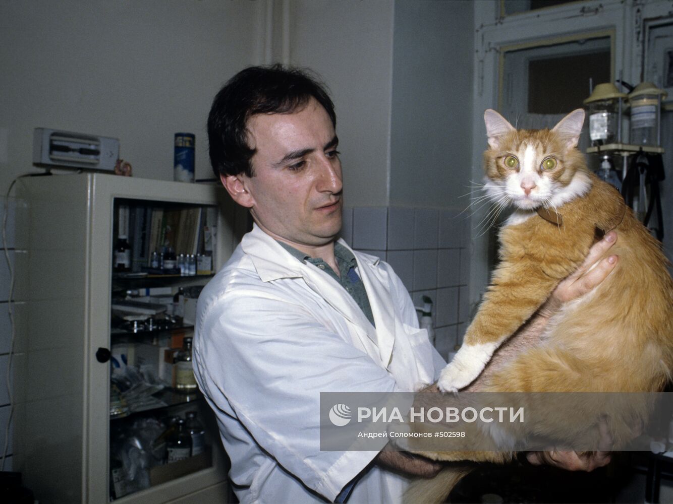 Врач-ветеринар с кошкой