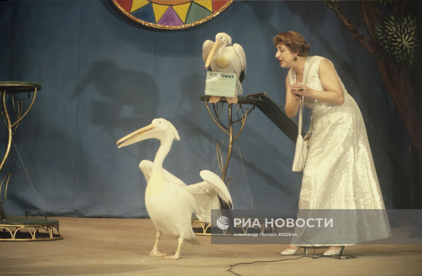 Наталья Дурова с пеликанами