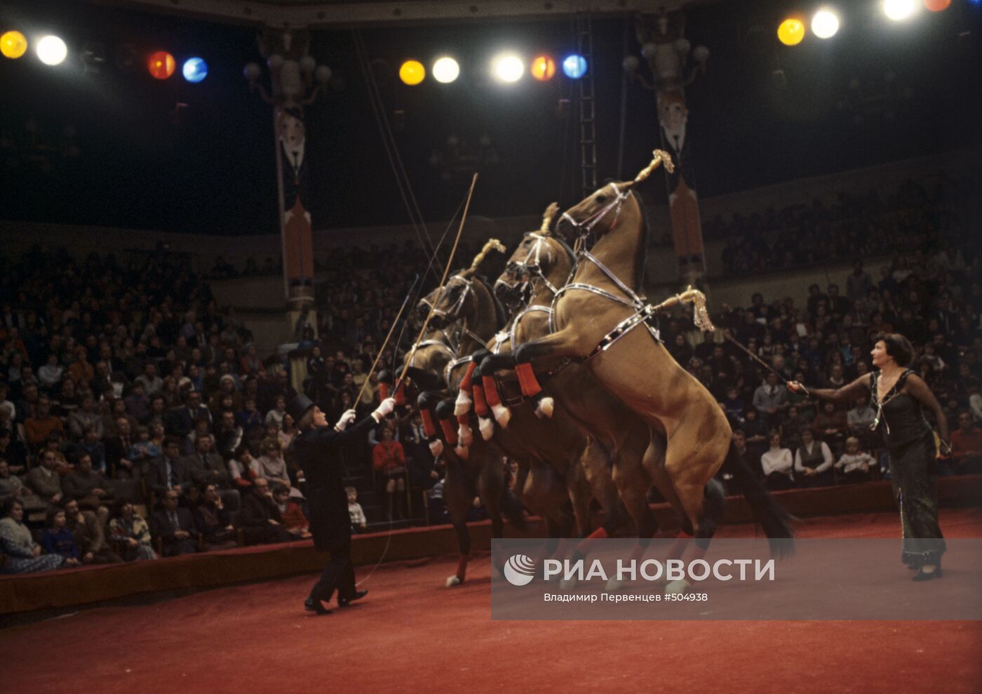 Дрессировщик Алексей Соколов с группой степных лошадей