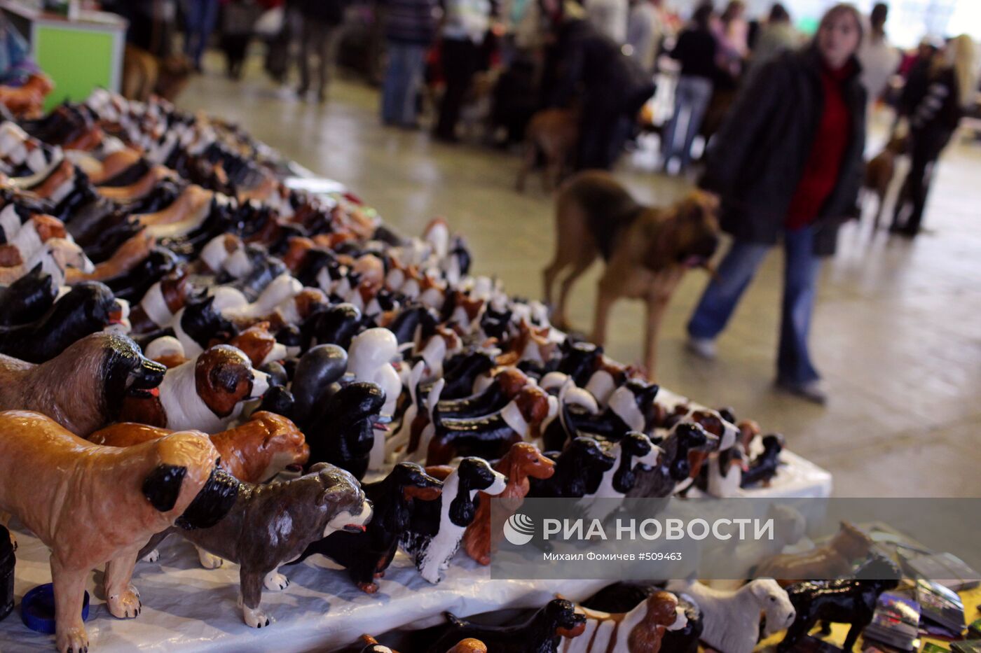 Выставка собак всех пород прошла на ВВЦ