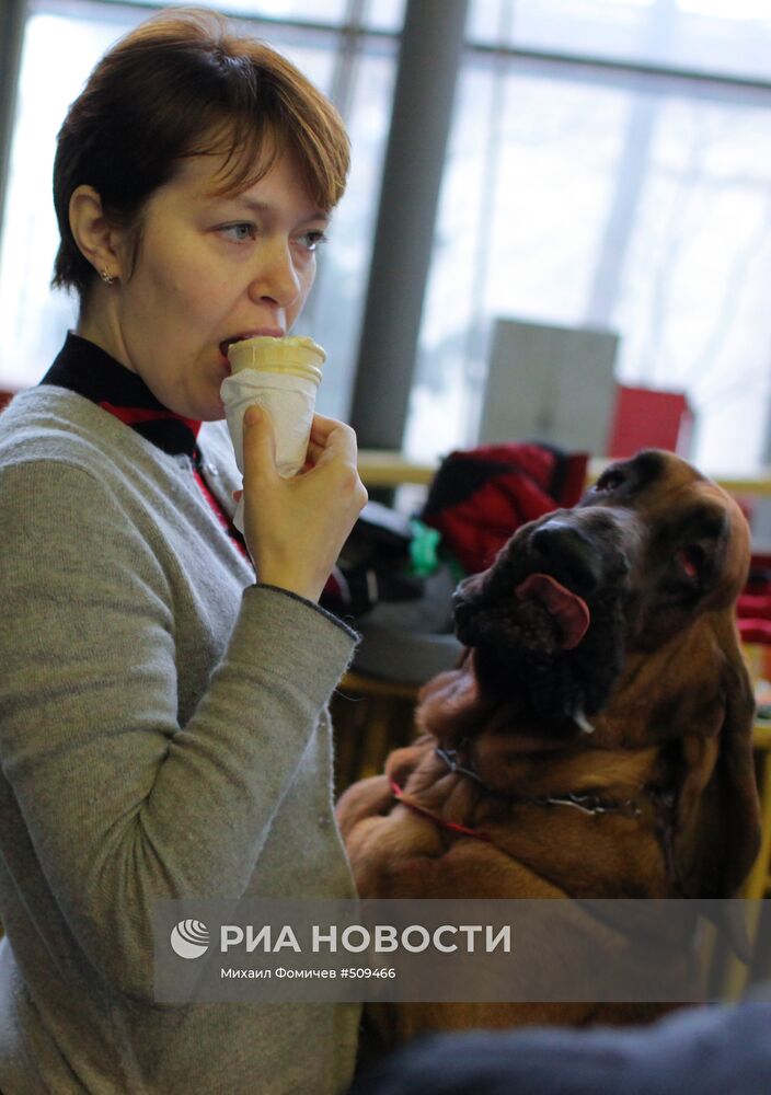 Выставка собак всех пород прошла на ВВЦ