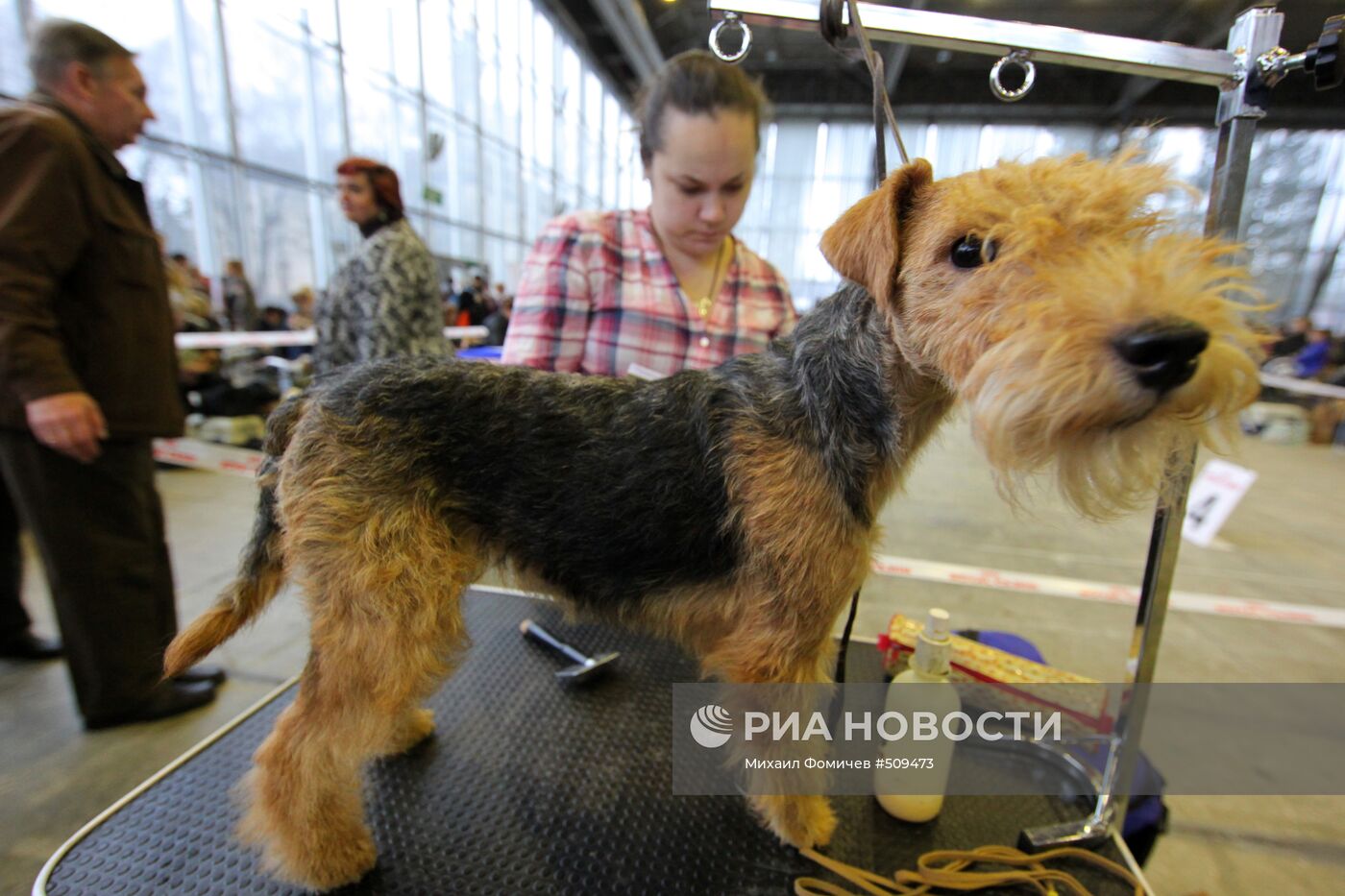 Выставка собак всех пород прошла на ВВЦ