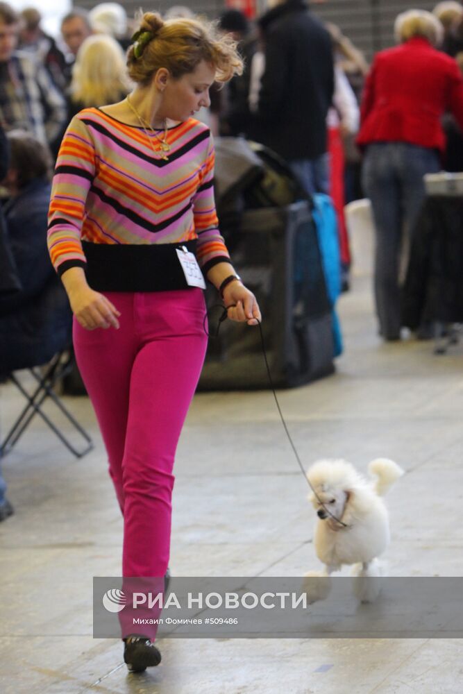 Выставка собак всех пород прошла на ВВЦ