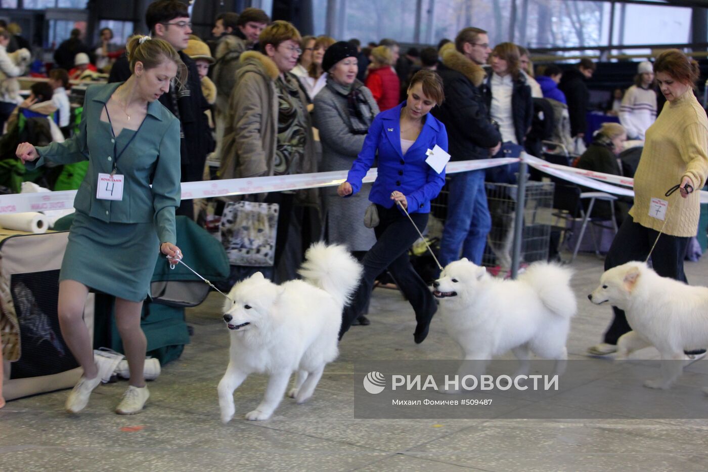 Выставка собак всех пород прошла на ВВЦ