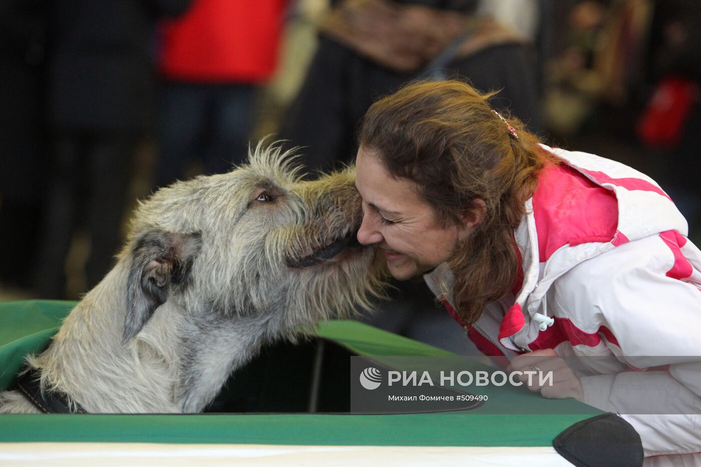 Выставка собак всех пород прошла на ВВЦ