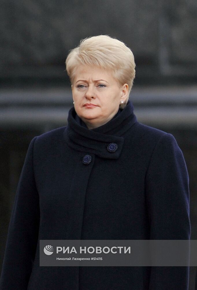 Президент Литвы Д.Грибаускайте прибыла с рабочим визитом в Киев