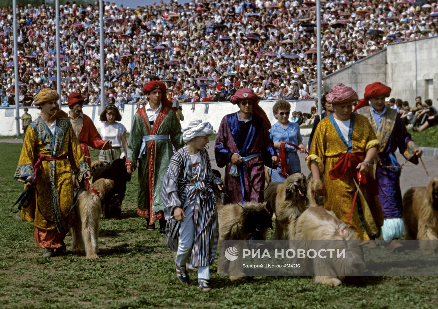 Костюмированное шествие