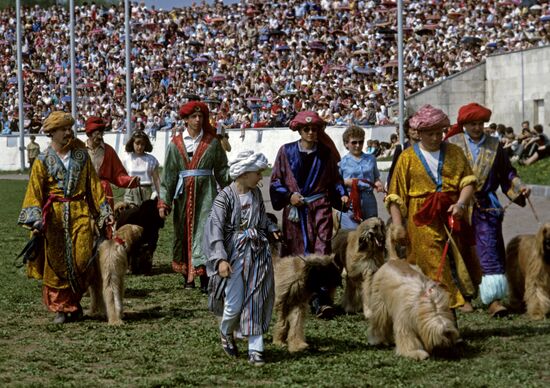 Костюмированное шествие