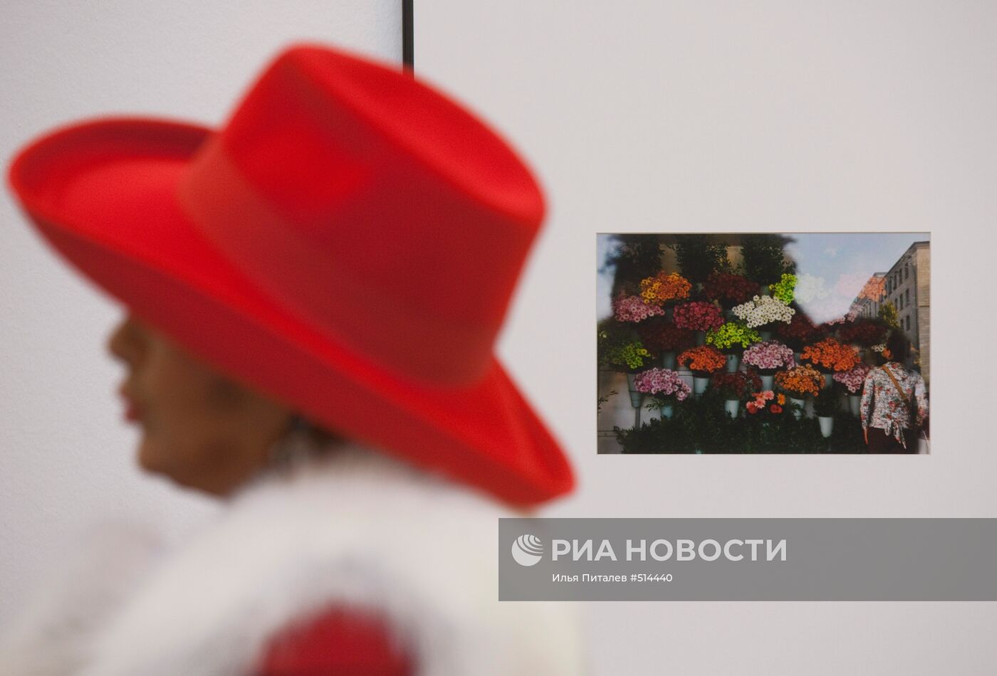 Открытие фотовыставки Георгия Пинхасова "С любовью о Баку"