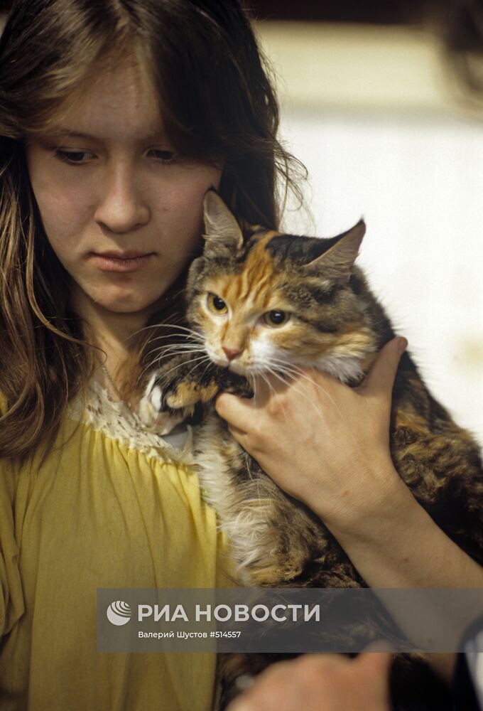 Девушка с кошкой
