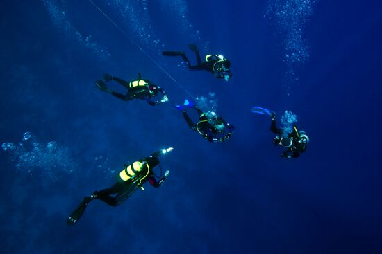 Зарубежные страны: Египет