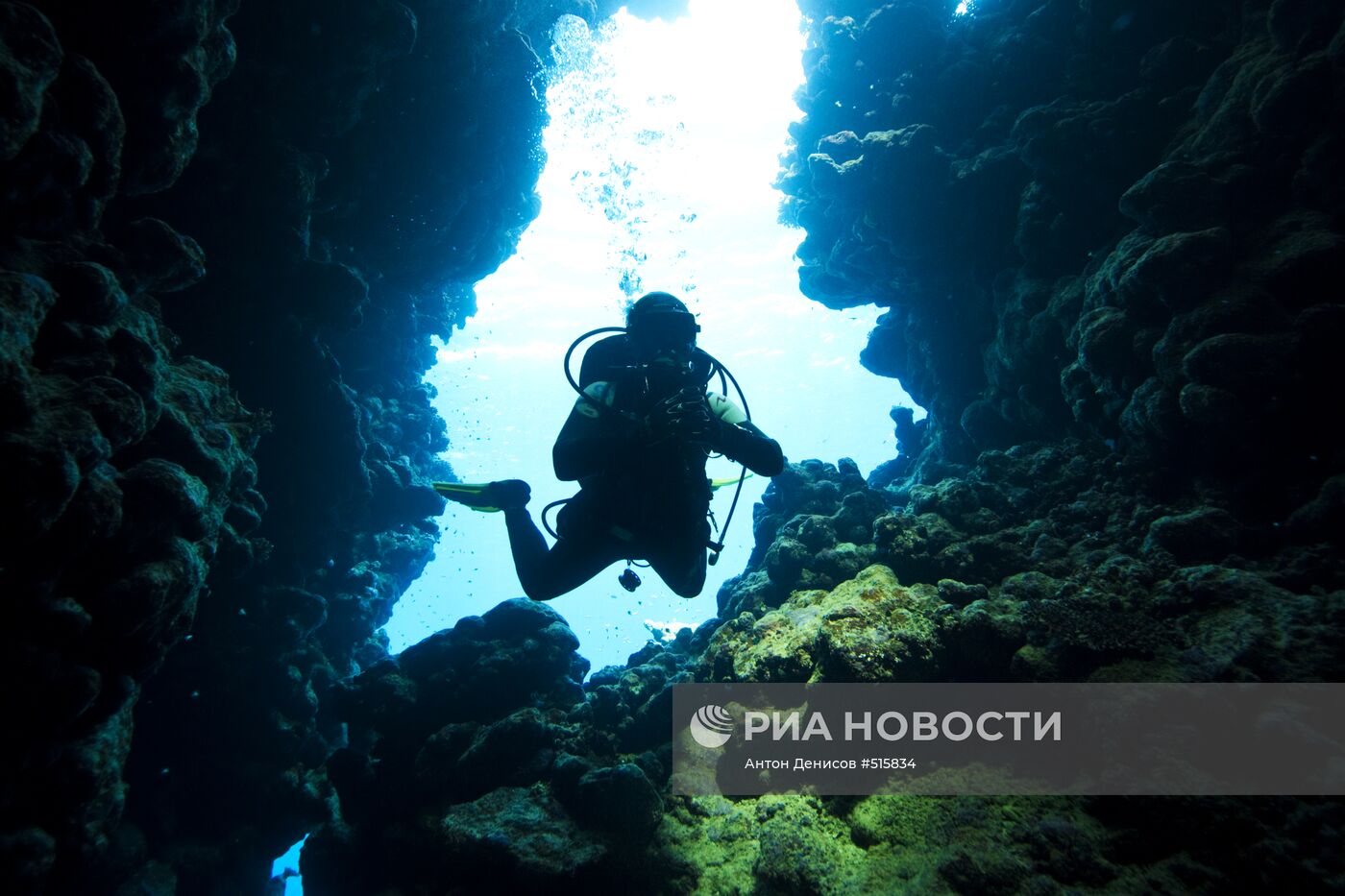 Зарубежные страны: Египет