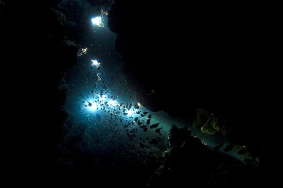 Зарубежные страны: Египет