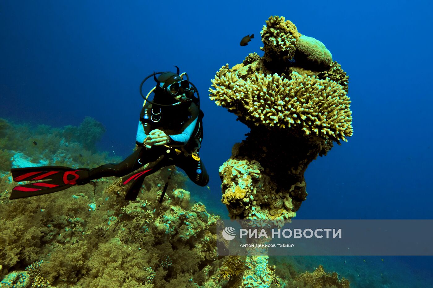 Зарубежные страны: Египет