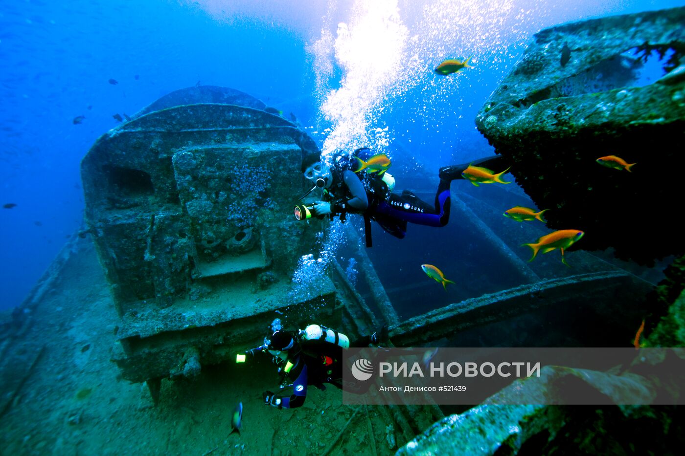 Зарубежные страны: Египет