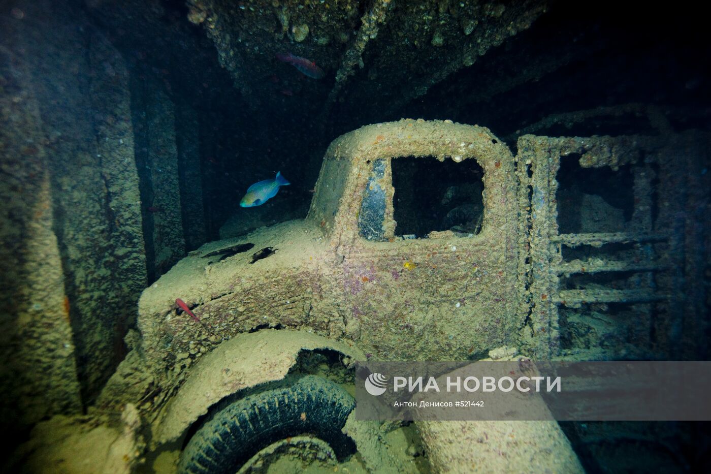 Зарубежные страны: Египет