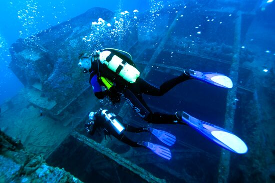 Зарубежные страны: Египет