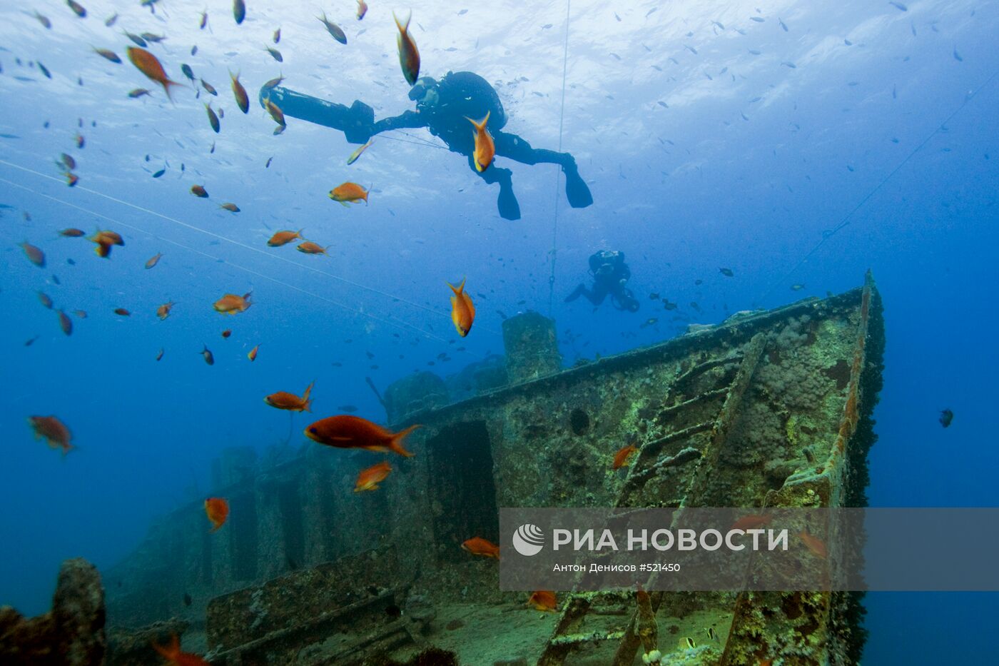 Зарубежные страны: Египет
