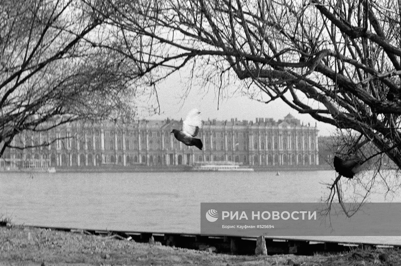 Эрмитаж в Санкт-Петербурге