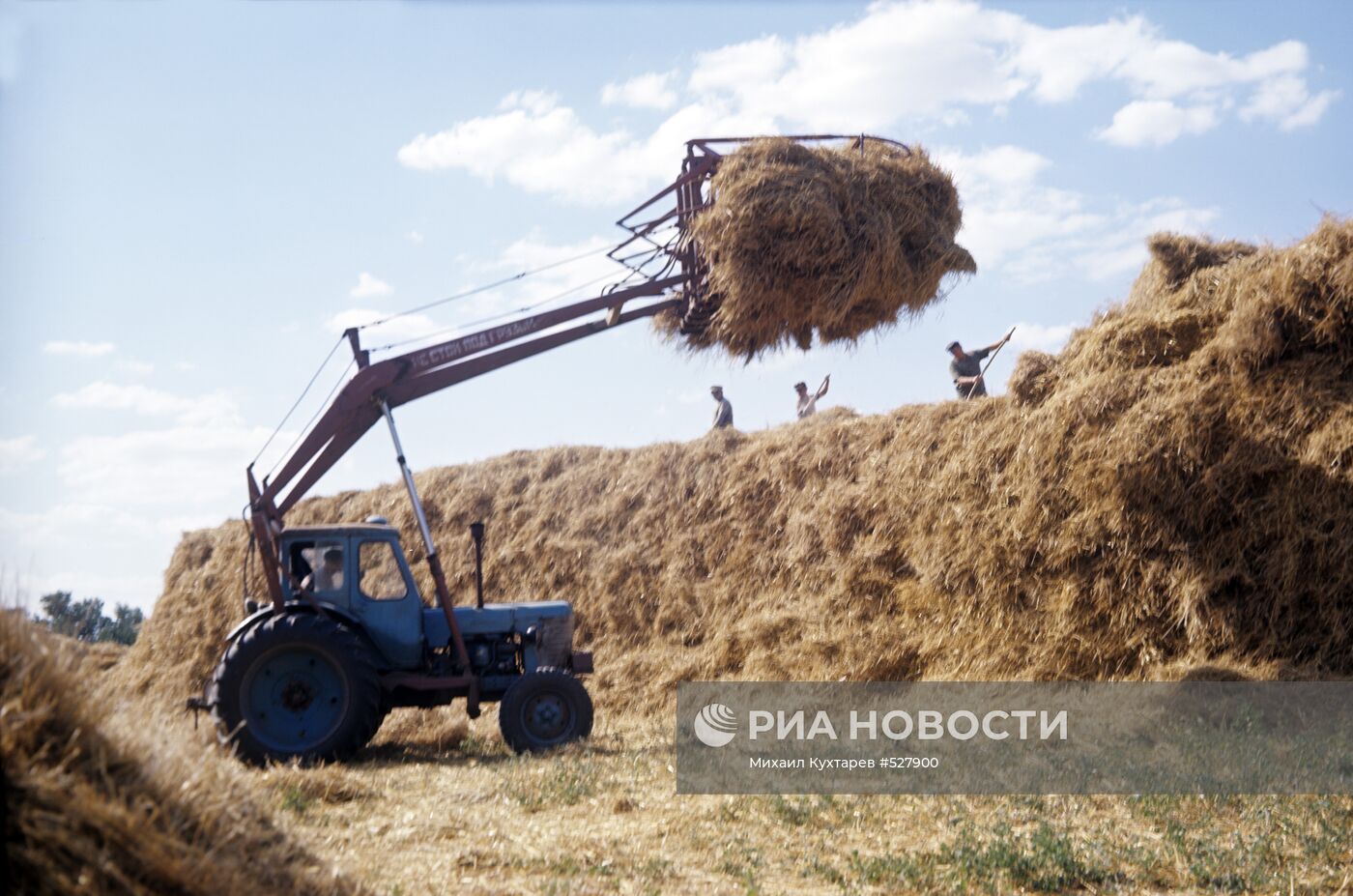 Скирдование сена | РИА Новости Медиабанк