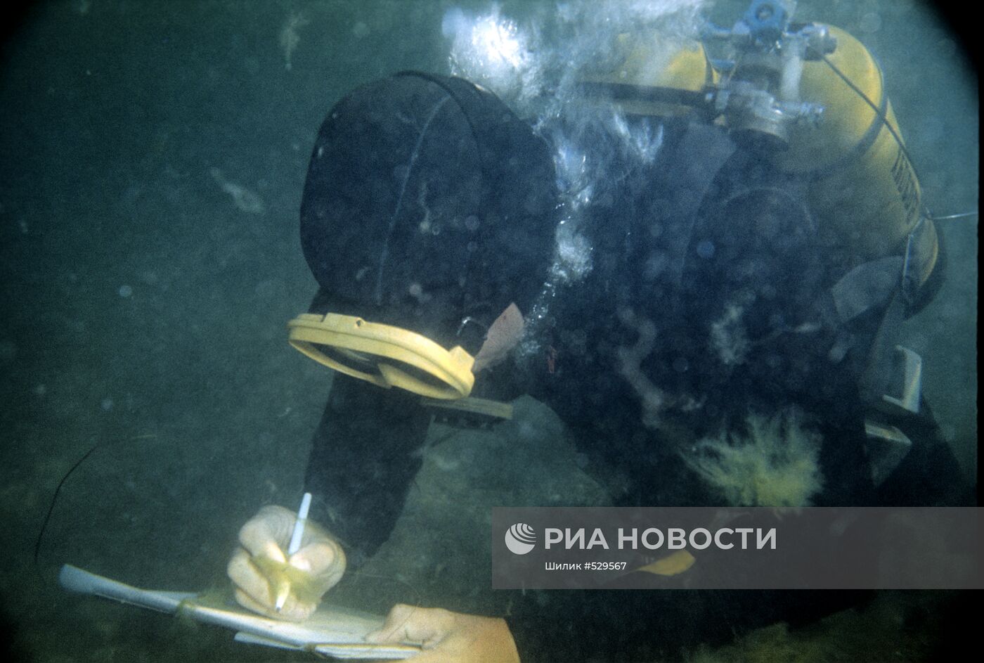 Подводный археолог
