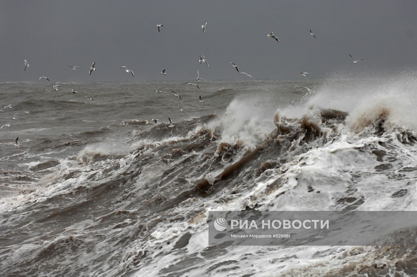 Шторм в городе Сочи